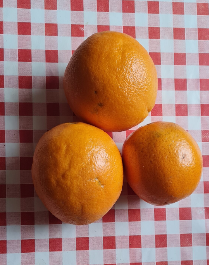 Göra raw food godis på apelsinskal!